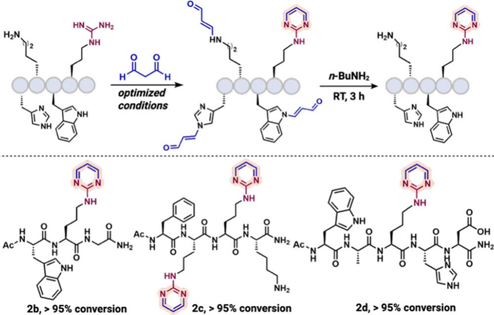 Figure 1 from publication