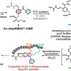 suga_etal_angew_chem_now_abstract_img