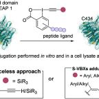 waser_etal_jacs_nov_25_abstract_img