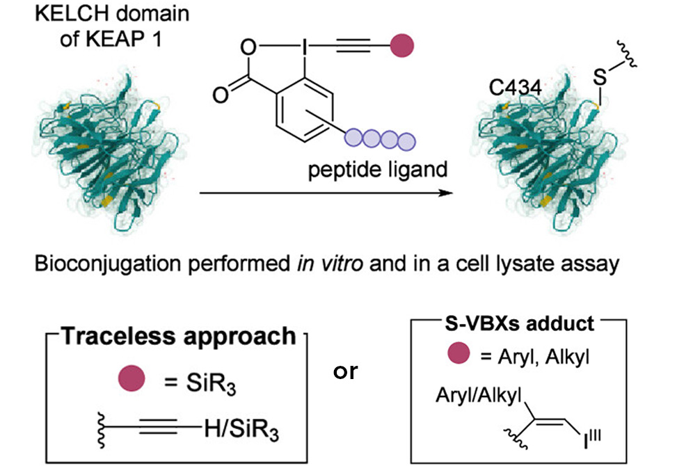 Waser Research Image