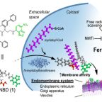 xu_jacs_october_2025_fig1
