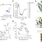 zeymer_et_al_lanthanides_nov_25_img_1