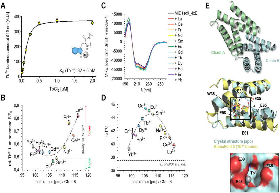 Zeymer Research Image